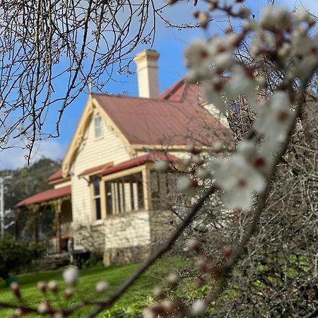 Cambridge House Breakfast & Bed Bed & Breakfast Geeveston Bagian luar foto