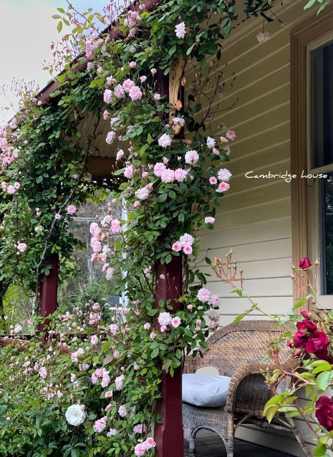 Cambridge House Breakfast & Bed Bed & Breakfast Geeveston Bagian luar foto