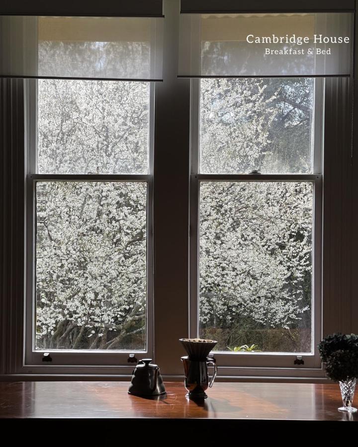 Cambridge House Breakfast & Bed Bed & Breakfast Geeveston Bagian luar foto