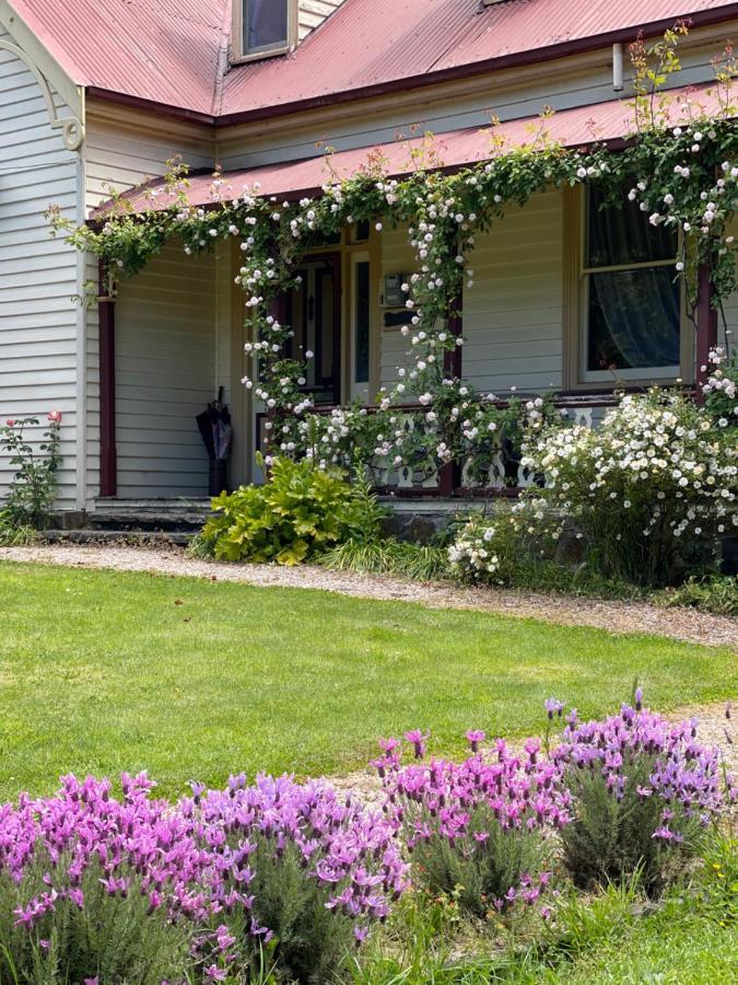 Cambridge House Breakfast & Bed Bed & Breakfast Geeveston Bagian luar foto