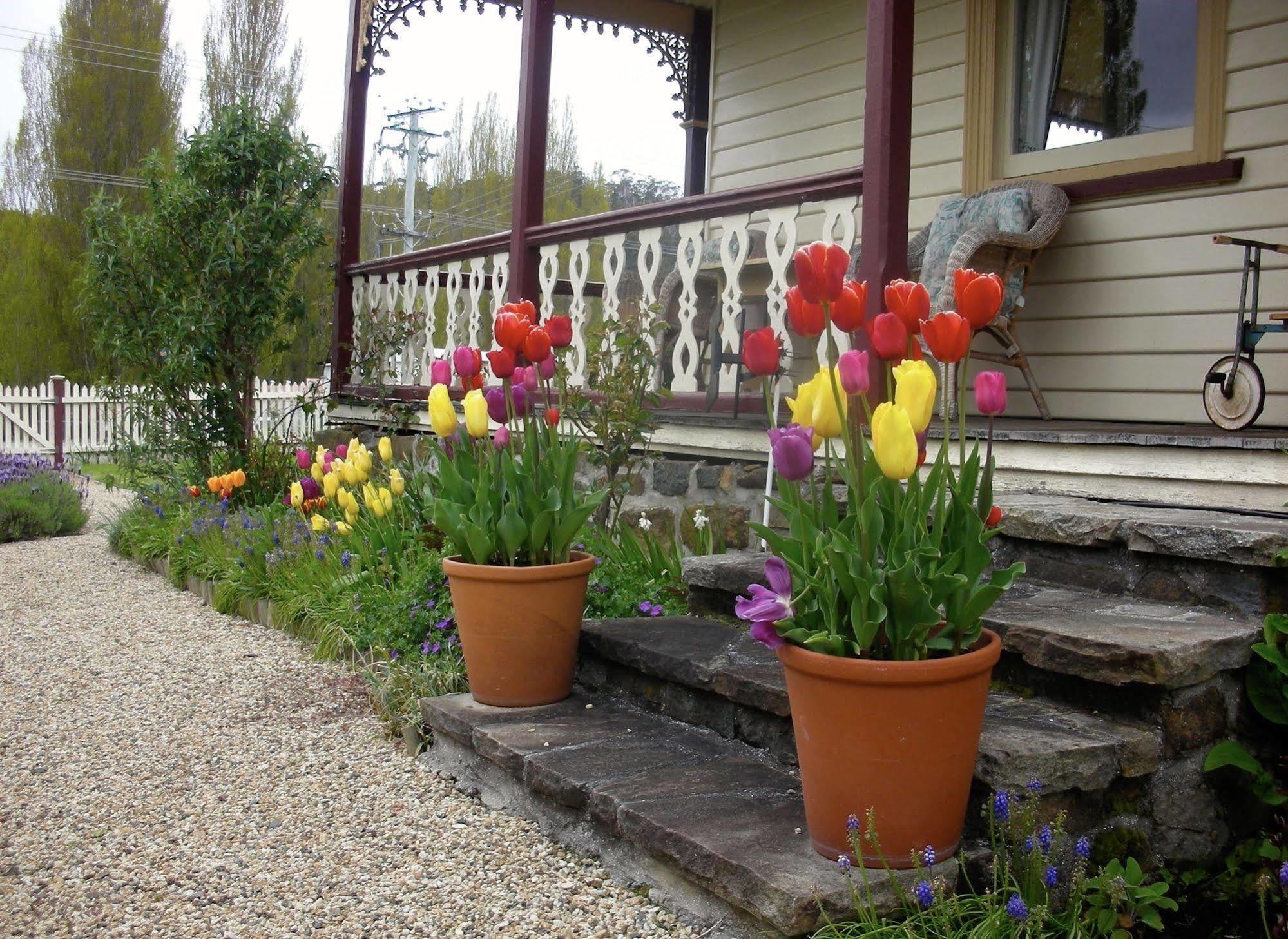 Cambridge House Breakfast & Bed Bed & Breakfast Geeveston Bagian luar foto